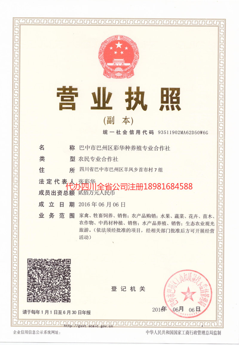 廉江廉江彩华种养殖专业合作社